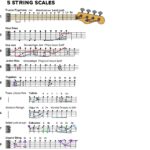 String Bass Normal Range The Ultimate Guide to Bass 5 Strings: Everything You Must Know to ...