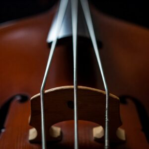 A close-up photo of a double bass string.