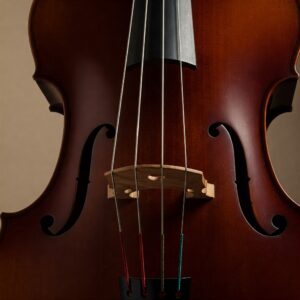 A photo of a double bass with different types of strings.