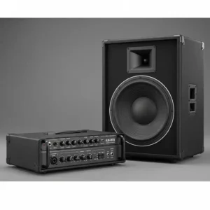 "Separated acoustic bass amp head and matching speaker cabinet, offering modular flexibility."