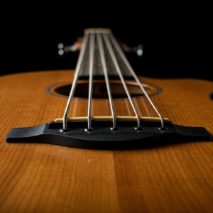 Close-up view of a 5 string acoustic bass, highlighting its strings and bridge.