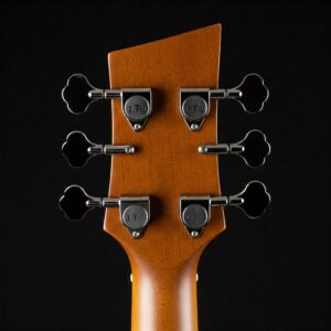 Headstock detail of a 5 string acoustic bass showing tuners.