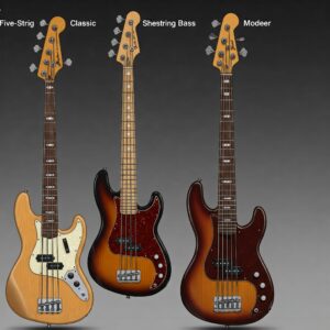 "Different body styles available for the best 5 string bass guitars."