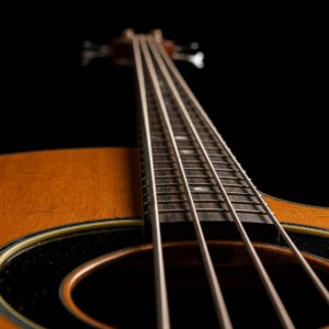 Fingerboard and frets of a 5 string acoustic bass guitar.