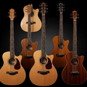 A collection of different styles of 5 string acoustic bass guitars. 