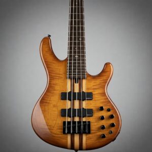 "Ergonomic body shape and design of an Ibanez 6 String Bass Guitar."