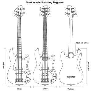 Illustration of a musician playing a short scale 5 string bass guitar.