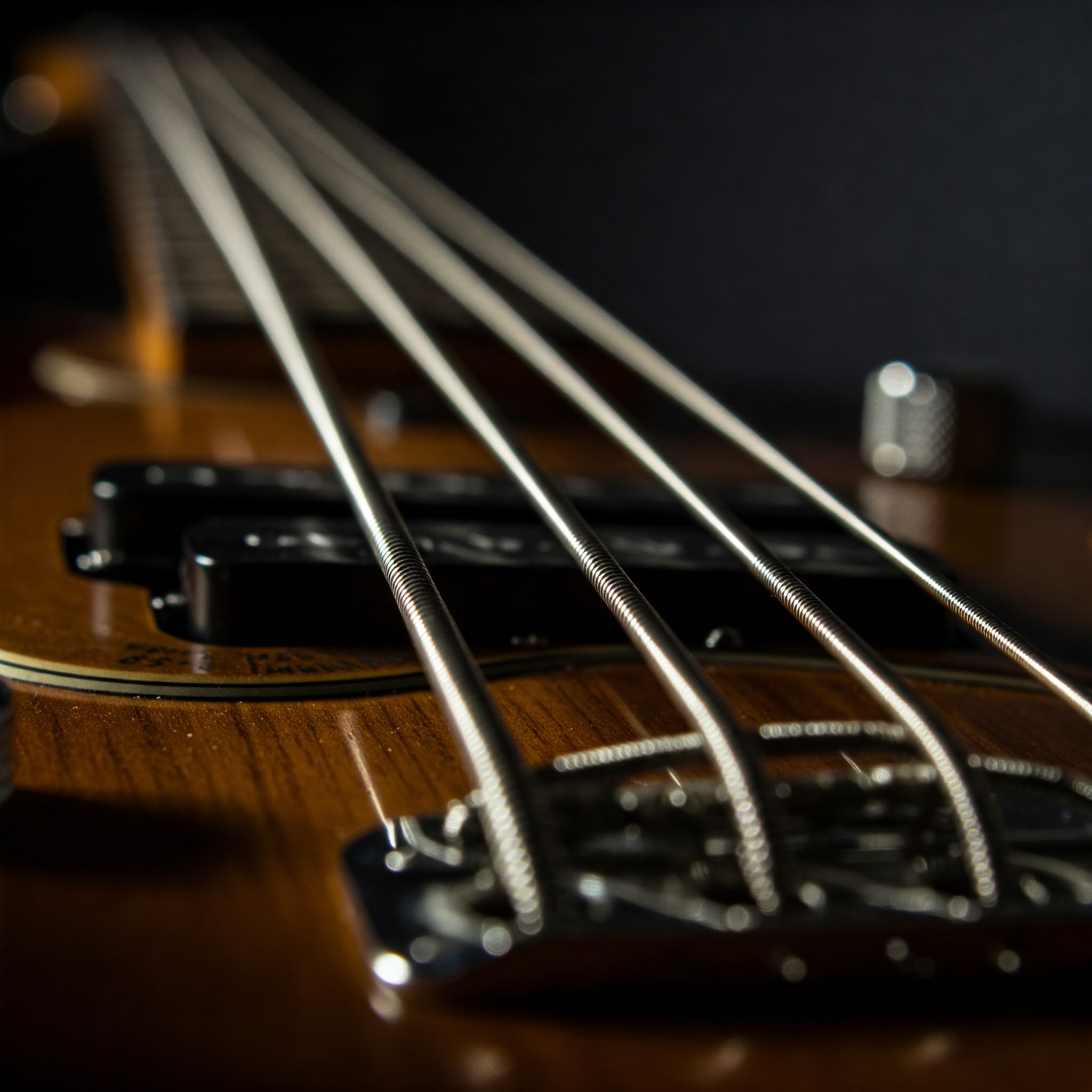 Close-up image featuring rotosound bass strings showcasing their distinctive winding and quality.