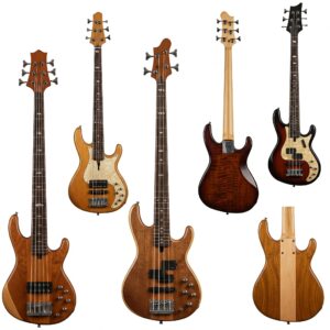 Various body shapes available for short scale 5 string bass guitars, showcasing their versatility.