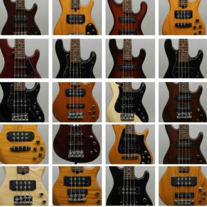 An overview of different pickup configurations commonly found on short scale 5 string bass guitars.