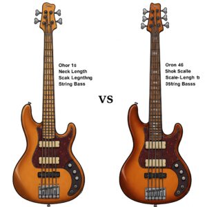 Illustration comparing the neck length of a short scale 5 string bass to a standard scale 5 string bass.