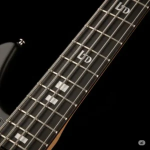 View of an LTD bass guitar neck and fretboard, illustrating the smooth playability and fret markers.