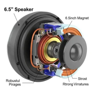 Cutaway illustration of a best 6.5 speakers with bass revealing its powerful magnet structure, crucial for delivering strong bass.