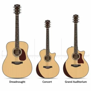 Illustration comparing the different body shapes of cort acoustic guitars, including dreadnought, concert, and grand auditorium styles.