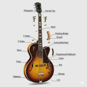 A diagram illustrating the key parts of an archtop acoustic guitar, including the carved top, f-holes, floating bridge, and tailpiece.