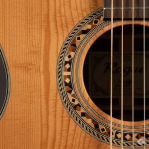 A detailed illustration of a rogue acoustic guitar’s soundhole, showing the wood grain and the intricate rosette design.