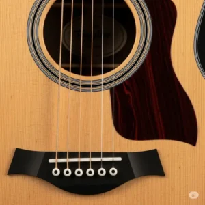 A detailed shot of the solid Sitka spruce top on the Taylor 110e, a key feature that contributes to its bright and dynamic tone.