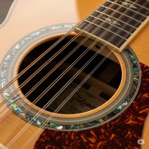a close shot of the rosette and soundhole on a Takamine 12 string guitar
