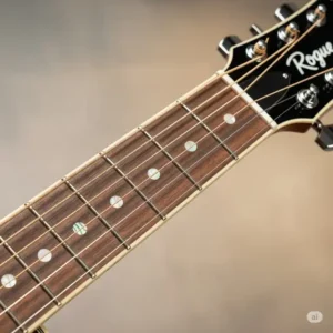 An illustration showing the fretboard of a rogue acoustic guitar, highlighting the fret markers and neck profile.