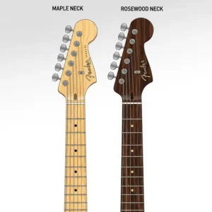 An illustration comparing different wood types used for a Fender Stratocaster guitar neck, such as maple and rosewood, highlighting their visual differences.