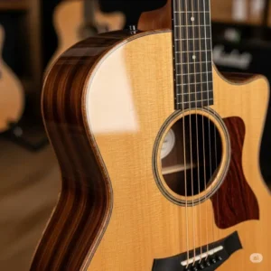A detailed shot of the taylor 224 guitar body with a Venetian cutaway.