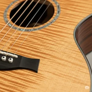 A taylor 224 guitar stored inside its included deluxe hardshell case.