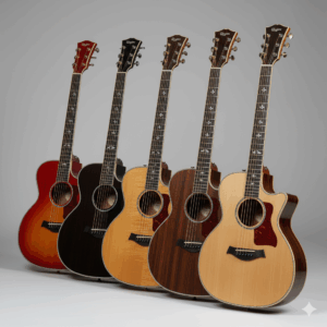 A collection of thin body acoustic guitars displayed with various attractive wood finishes and colors, demonstrating the aesthetic options available.