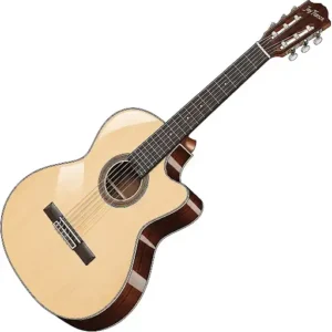 An illustration of a Jay Turser classical guitar with nylon strings and a natural gloss finish.
