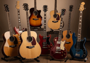 A collection of different Johnson guitar models, including acoustic, electric, and bass guitars, arranged together to show variety and design.