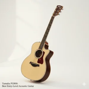 The Yamaha FG800, often cited as one of the best yamaha acoustic guitar choices for beginners and students. 