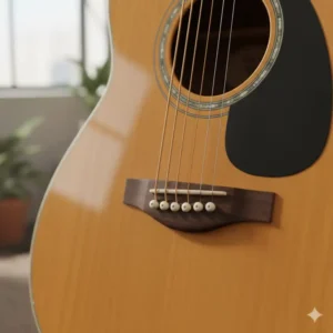Rosewood bridge and saddle on the jasmine takamine acoustic guitar.