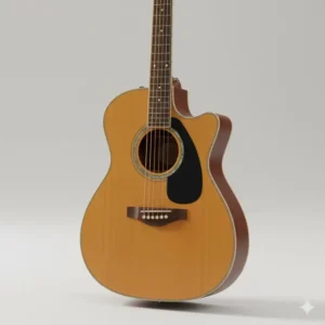 The classic dreadnought body shape of the jasmine takamine acoustic guitar.