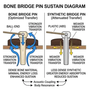 Technical diagram showing how bone bridge pins improve string vibration and sustain.