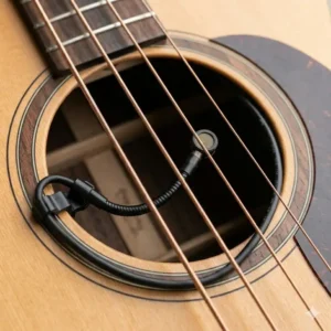 Illustration 3: Internal view of a high-fidelity internal microphone acoustic bass pickup system capturing natural body resonance.